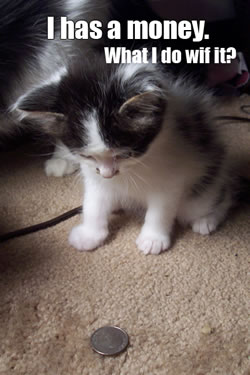 Money Kitten
