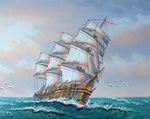 Ship of goals